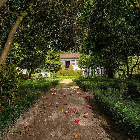 In Minho Quinta Ribeira