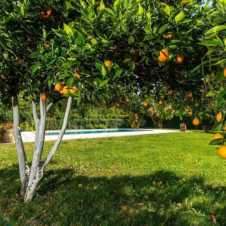 In Minho Quinta Ribeira * Guimarães