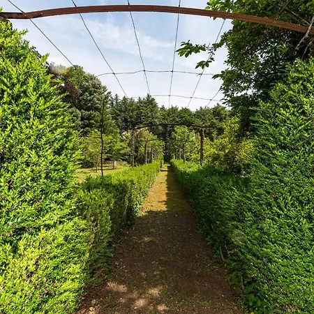 Casa de Férias In Minho Quinta Ribeira *