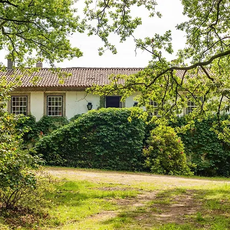 Ferienhaus In Minho Quinta Ribeira Guimarães