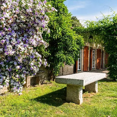 Casa de Férias In Minho Quinta Ribeira